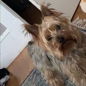 Meet your Posher, Eva